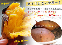 高知県産　ハニー　（安納芋と同じ種類です）【南国土佐ドットコム（井口フルーツファーム）】